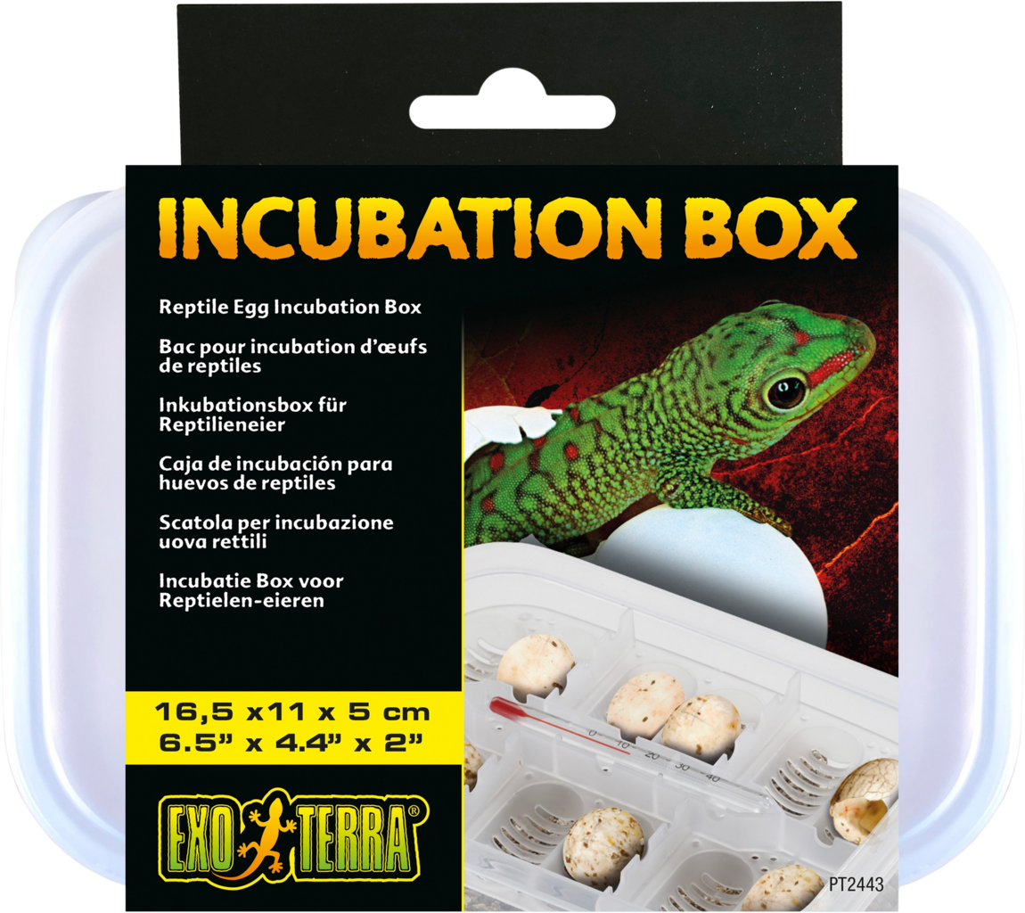 Exo Terra Incubation Box