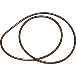 JBL Artemio O-Ring - 1 pz.