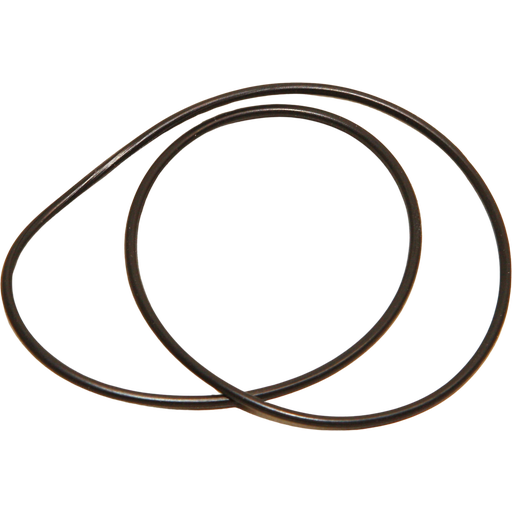 JBL Artemio O-Ring - 1 Stk