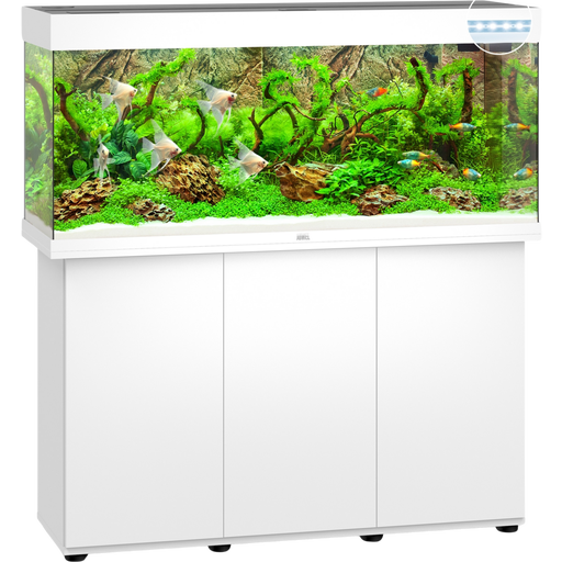 Juwel Aquarium LED Rio 240 avec Meuble - blanc