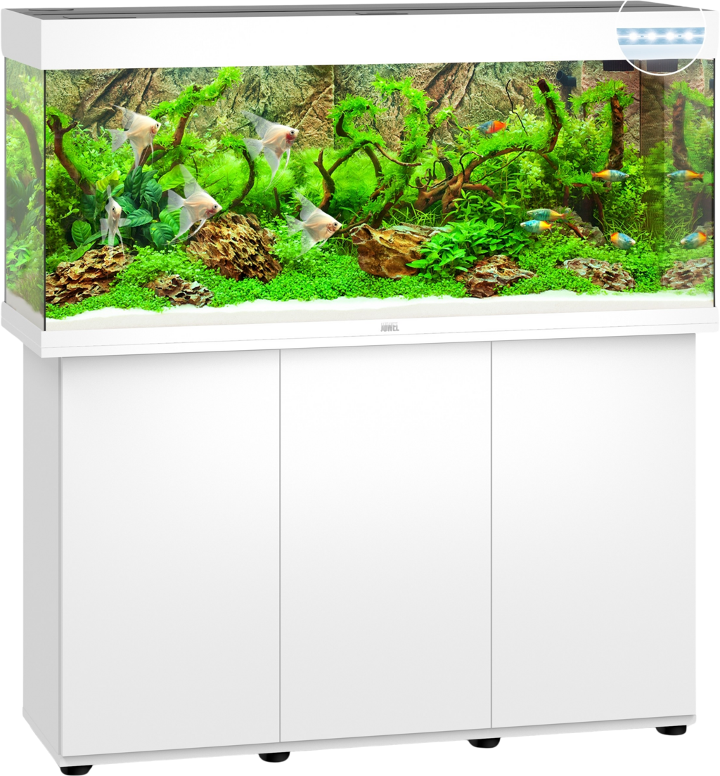 Juwel Aquarium LED Rio 240 avec Meuble - blanc