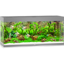 Rio 240 LED Aquarium, grau