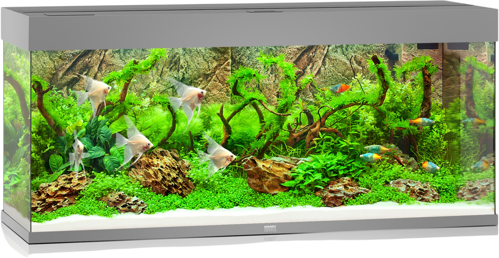 Juwel Rio 240 LED Aquarium - grau