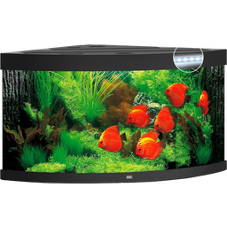 Juwel Acquario Trigon 350 LED - nero