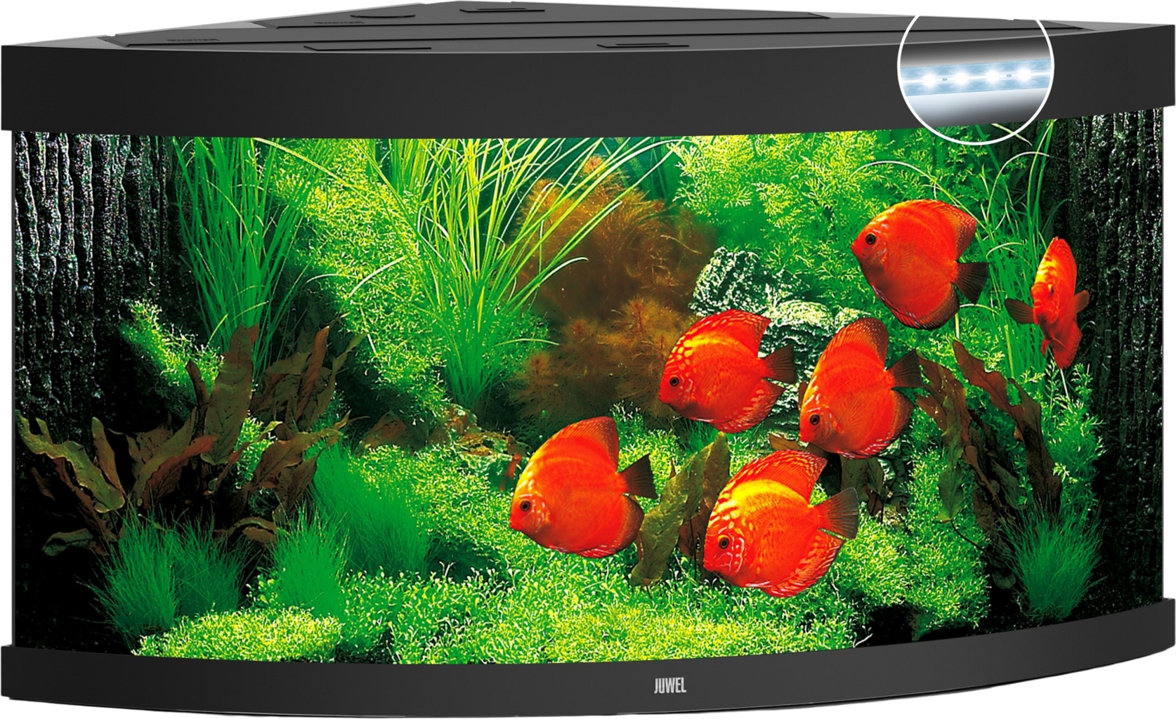 Juwel Acuario Trigon 350 LED - Negro