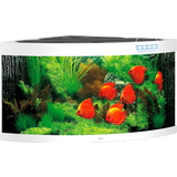 Juwel Aquarium LED Trigon 350
