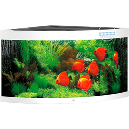 Juwel Aquarium LED Trigon 350 - blanc
