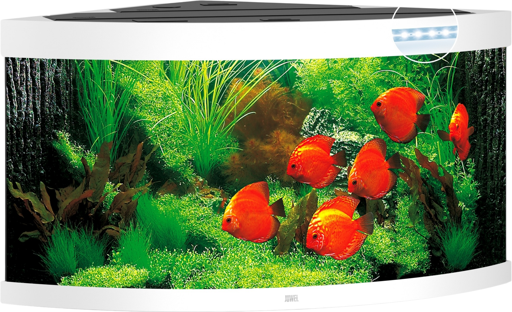 Juwel Trigon 350 LED Aquarium - weiß