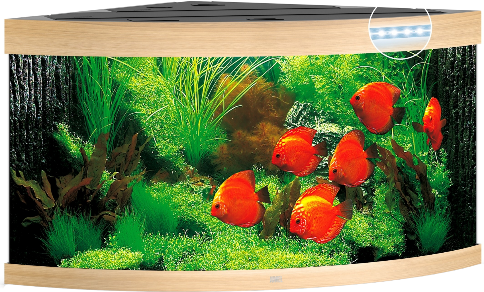 Juwel Trigon 350 LED Aquarium - helles Holz
