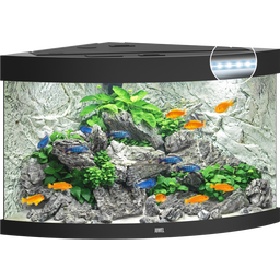 Juwel Trigon 190 LEDA kvarium - svart