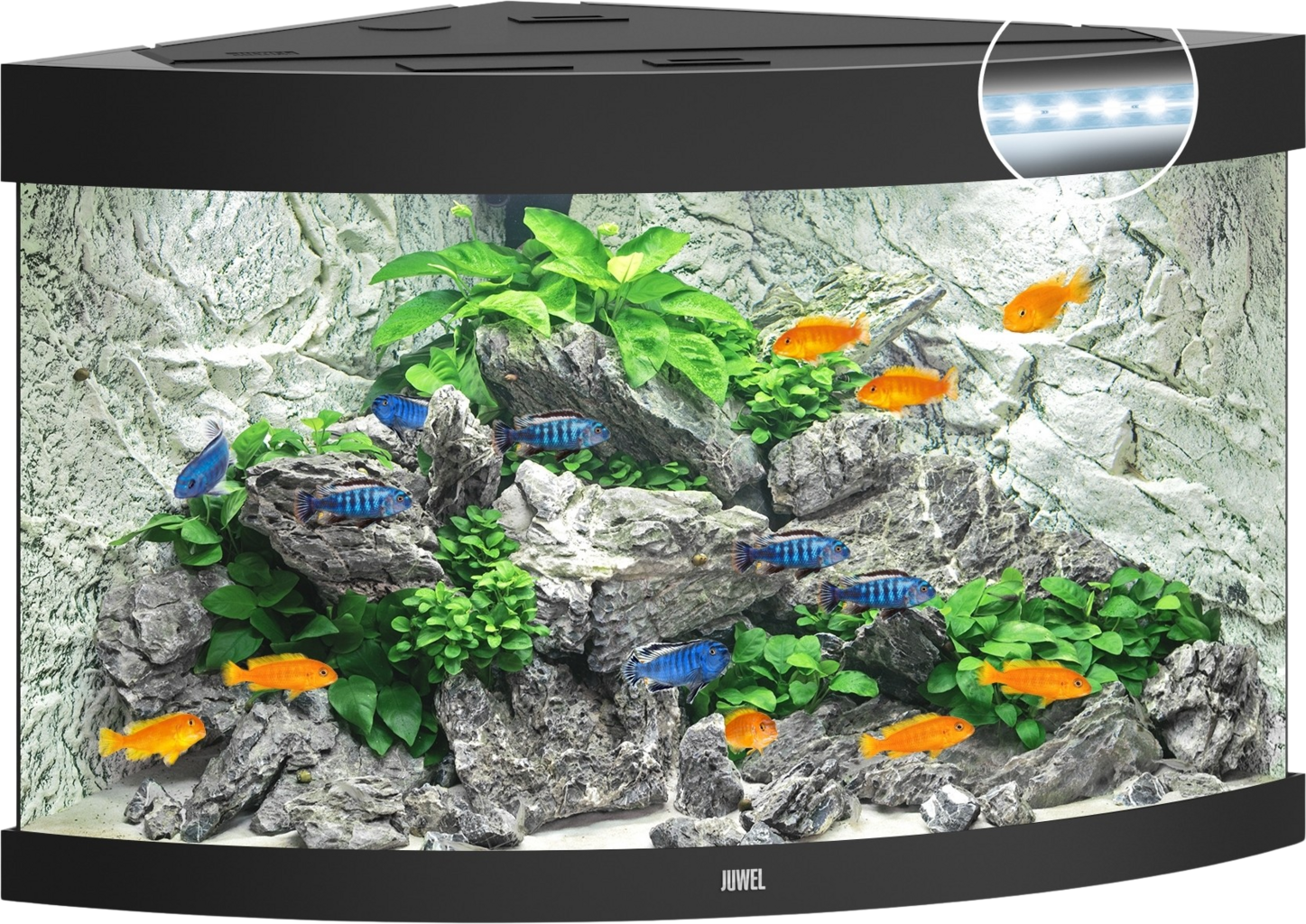 Trigon 190 LED Aquarium, schwarz
