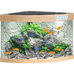 Juwel Aquarium LED Trigon 190 - bois clair