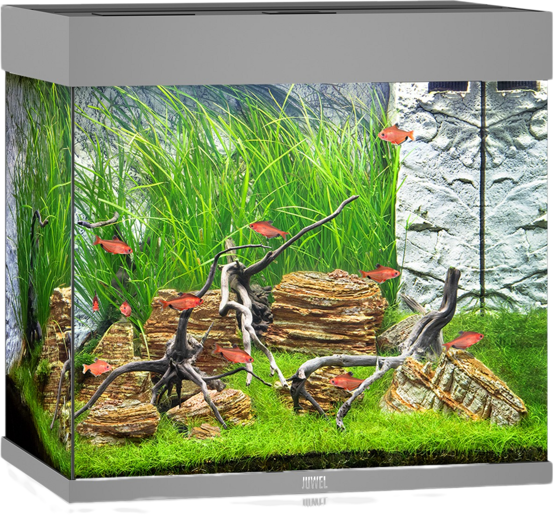 Juwel Lido 120 LED  Aquarium - grau