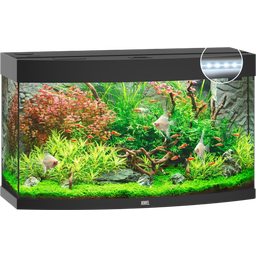 Juwel Vision 180 LED Aquarium - Black