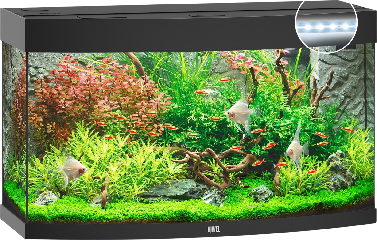 Juwel Aquarium LED Vision 180 - noir