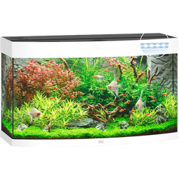 Juwel Aquarium LED Vision 180 - blanc