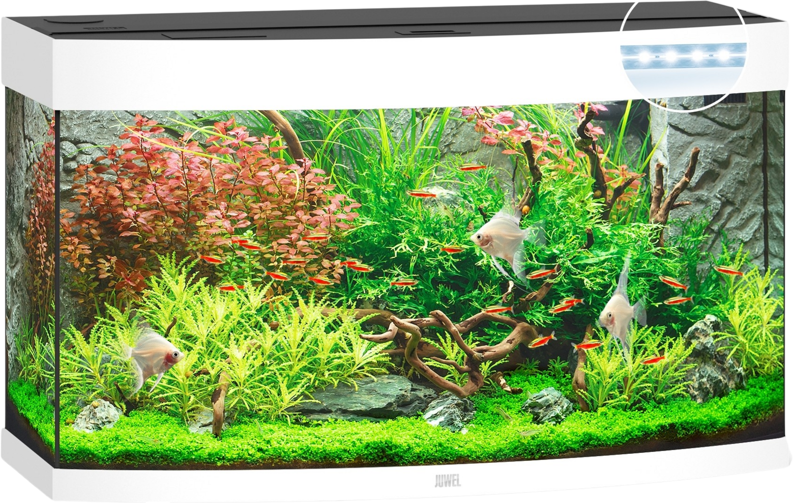 Juwel Vision 180 LED Aquarium