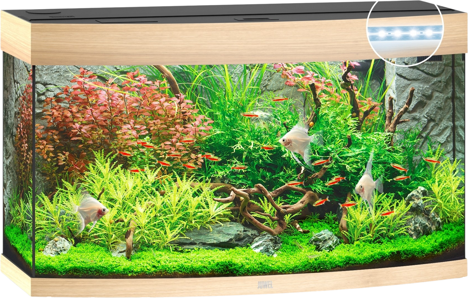 Juwel Vision 180 LED Aquarium