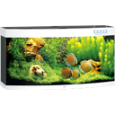 Juwel Vision 260 LED Aquarium - weiß