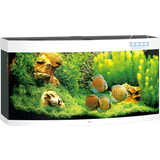 Juwel Aquarium LED Vision 260