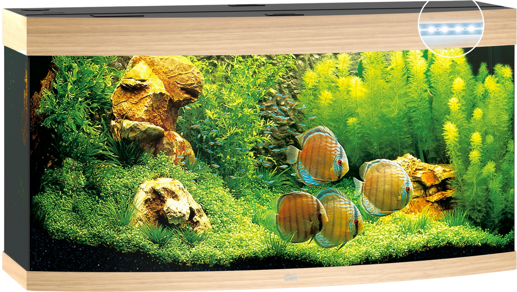 Juwel Vision 260 LED Aquarium - helles Holz