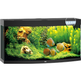 Juwel Acquario Vision 260 LED