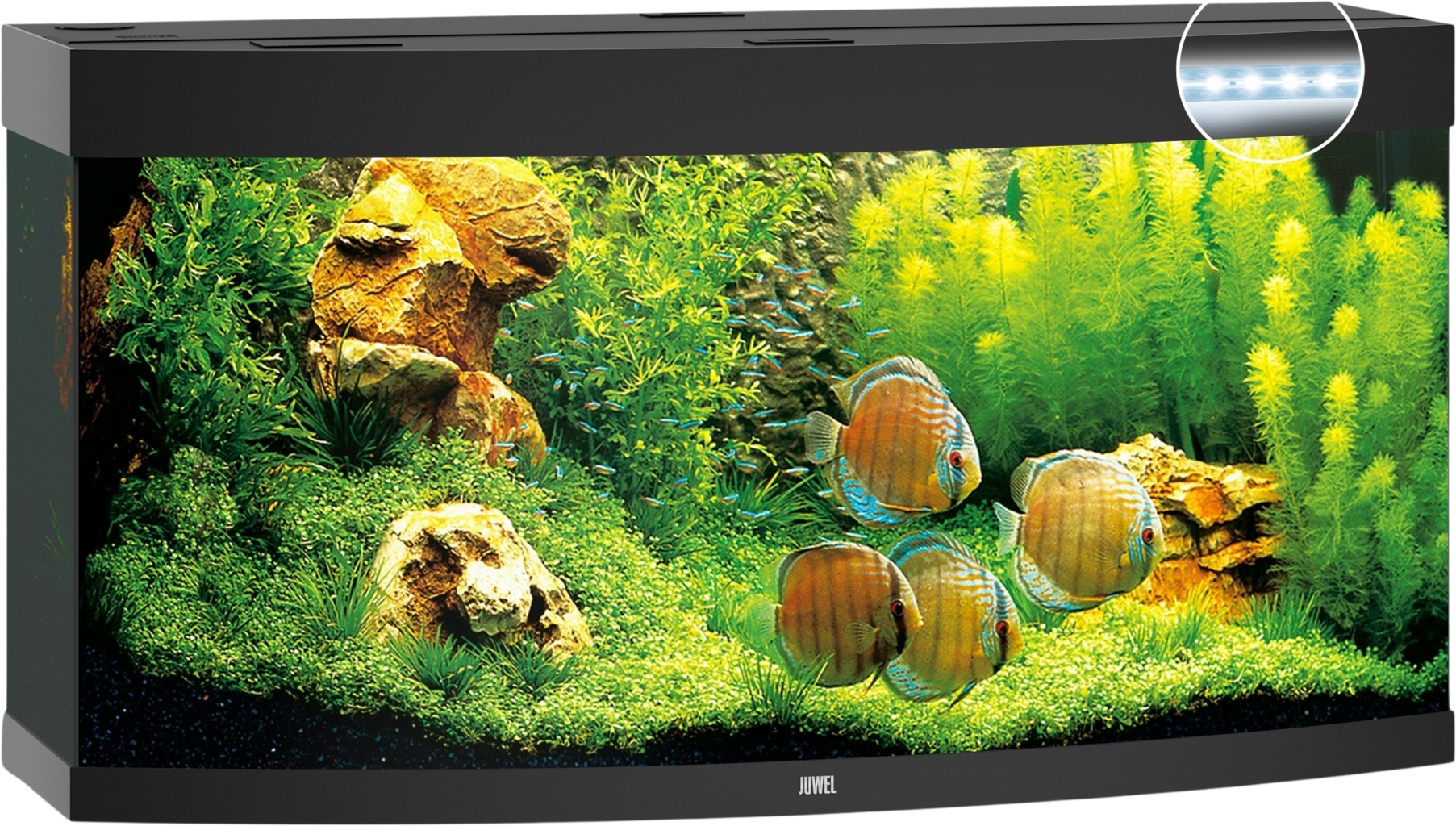 Juwel Acquario Vision 260 LED