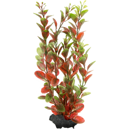 Planta de Acuario de Plastico - Ludwigia Roja - Ludwigia Roja
