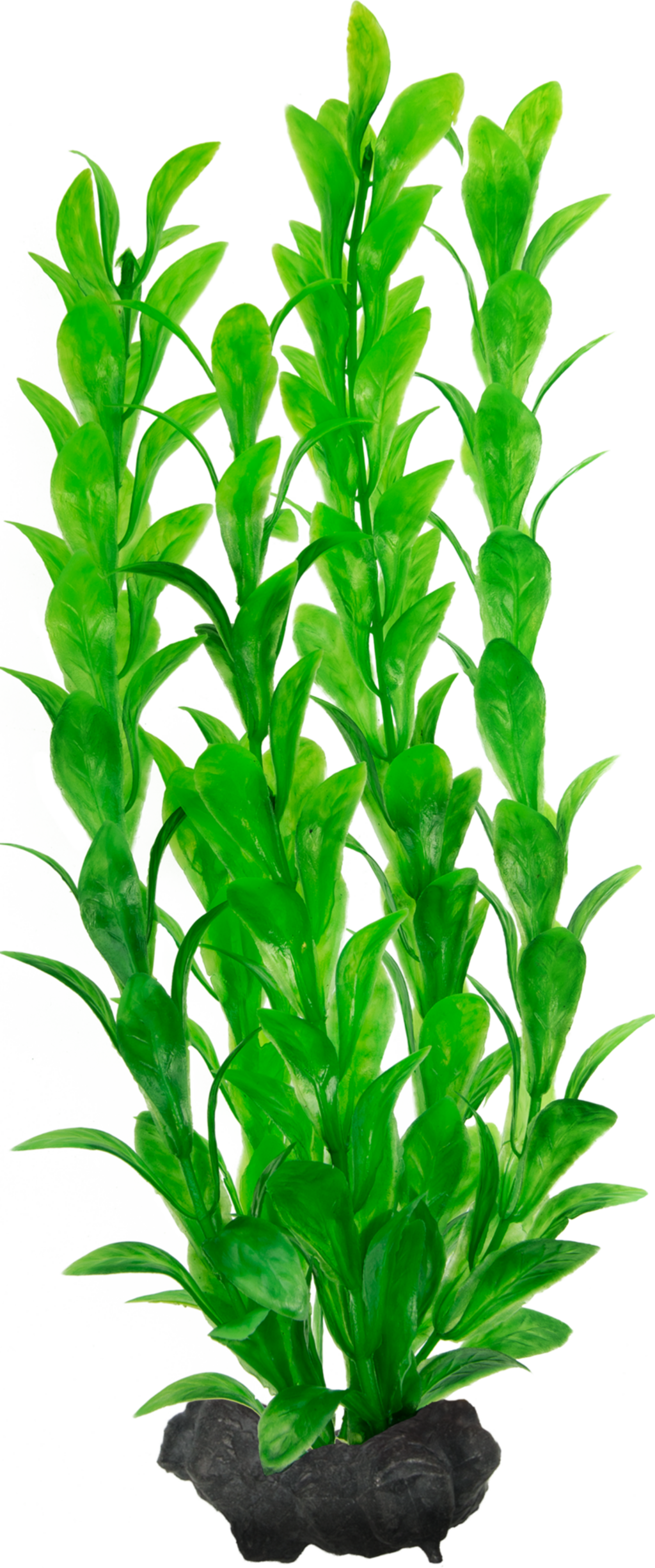 Plantas de Acuario de Plástico - Hygrophila - Hygrophila