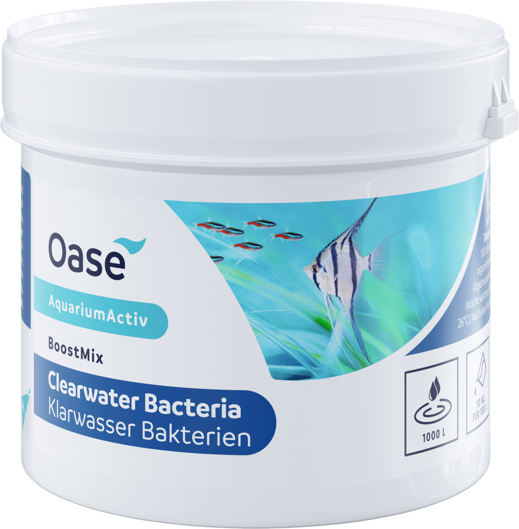 Oase KlarWasser Boost Mix Bakterien - 100g