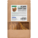 Catappa Leaves, S (10 stk)