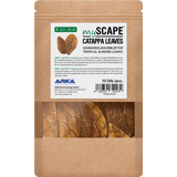 ARKA Catappa Leaves