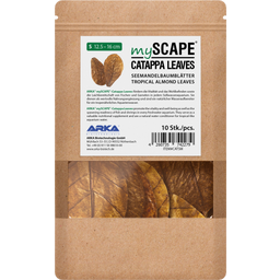 ARKA Catappa Leaves - S
