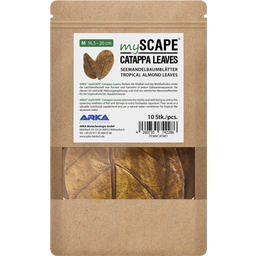 ARKA Catappa Leaves - M