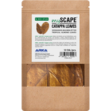 ARKA Catappa Leaves