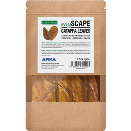 ARKA Catappa Leaves - L