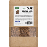 ARKA Casuarina Cones
