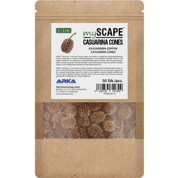 ARKA Casuarina Cones - 50 Pcs