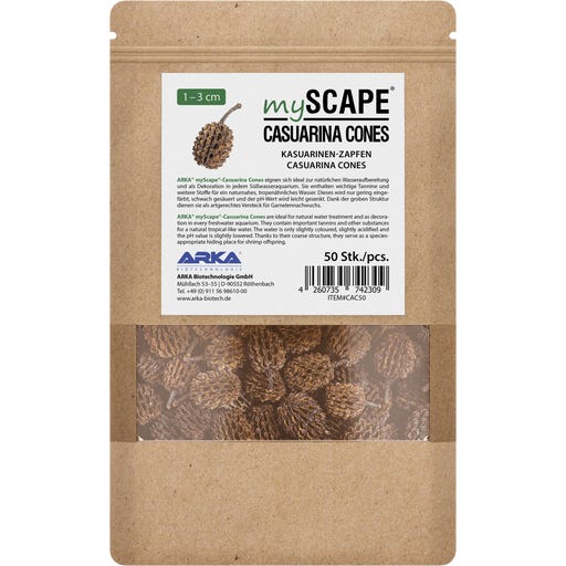 ARKA Cônes de Casuarina - 50 pièces