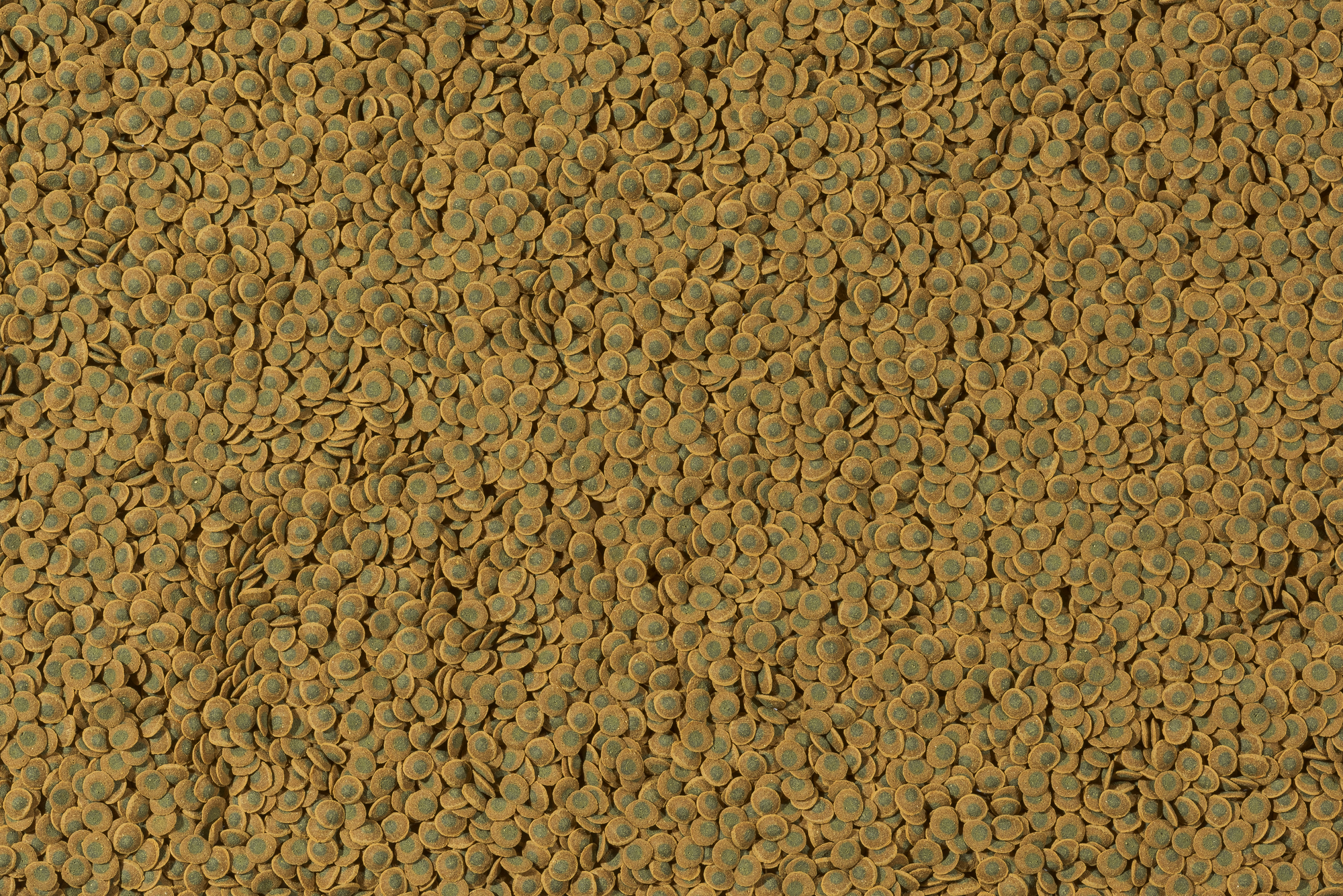 Tetra Pleco Veggie Wafers - 250 ml