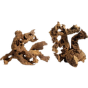 Savannah Wood, S