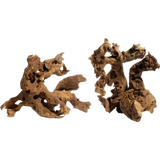 Olibetta Bois de Savane