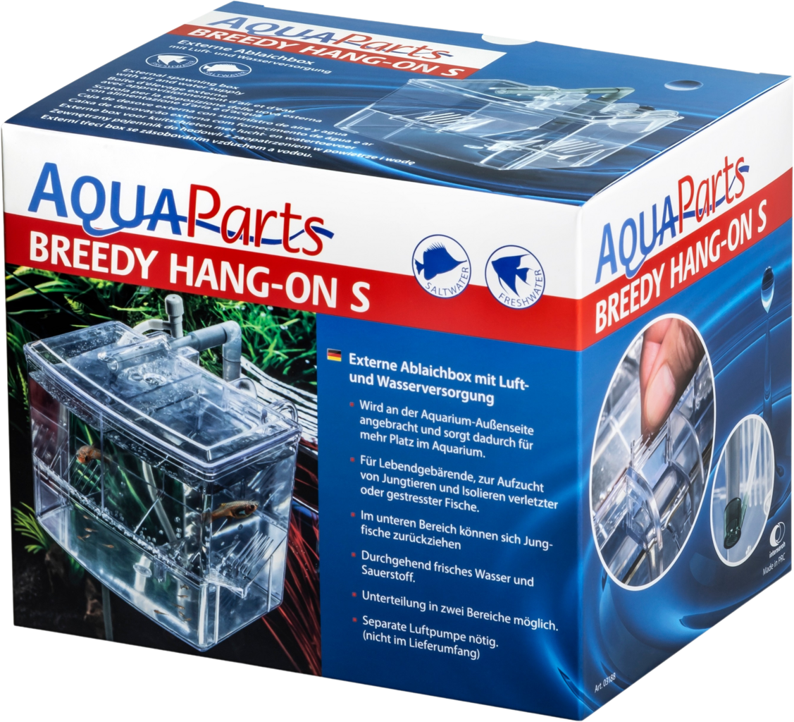 Papillon Allevatrice Hang-On Breedy
