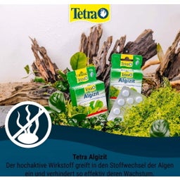 Tetra Algezit - 10 st.