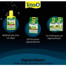 Tetra Algezit - 10 st.
