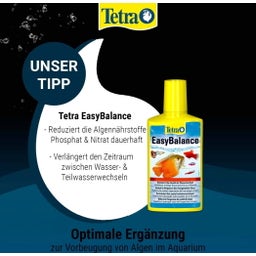 Tetra Algezit - 10 st.