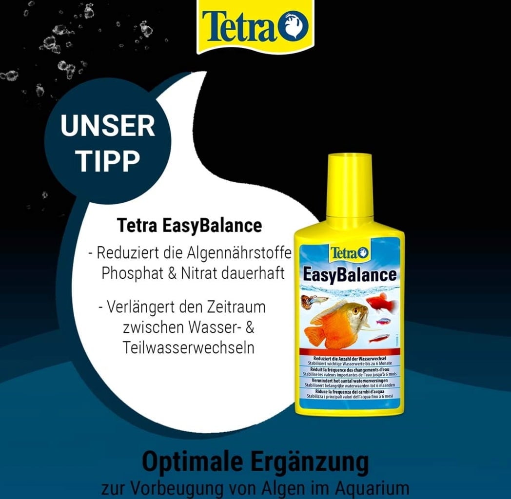 Tetra Algizit - 10 Stk