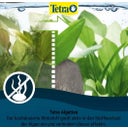 Tetra Algetten - 12 Stk