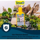 Tetra Active filters