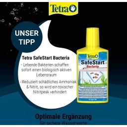Tetra Active filters - 250ml